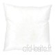 Coussin à recouvrir 60x60 cm garnissage Fibres Polyester Coussin Malin - B00KX2AT7O